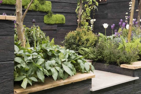 Composite Decking Design for Every Style, Site, and Client Requirement 2 Concept Materials Composite Decking Contemporary garden with composite decking design and lush greenery.